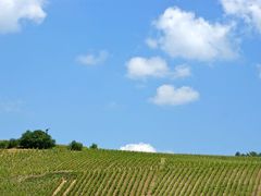 フランス旅行 その6 アルザス地方リクヴィル～ストラスブール