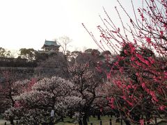 大阪城梅林へ行ってきました☆