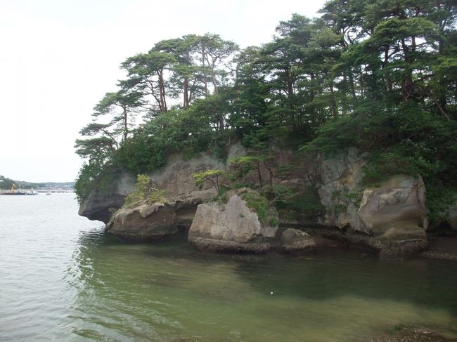 　２０１３年の夏、東北を訪れました。<br />　大震災後の様子が気になりながら、大して役にたたない者が被災地を訪れても、かえって邪魔になるだけではなかろうかと遠慮していたのですが、東北の人の、「観光でもいいから来てほしい。忘れられるのが、一番怖い。」との声を耳にし、それではと、夫と二人で折った２千羽の折鶴と、数珠を持って、慰霊と観光を兼ねた旅をしてきました。<br />　マイカーで、敦賀から秋田までフェリーを利用し、高速道路を使って移動、平泉を見学、次に松島に行きました。そこからは、大震災の被災地をたどりながら海岸線に沿って久慈まで北上、慰霊の場を見つけては手を合わせ、出来るだけ地元の人々と接し、震災の話を聞かせていただいてきました。<br />　その後は、秋田で森吉山に登り、またフェリーで帰ってきました。<br />　観光の部分だけの紹介で終わってしまうかもしれませんが、今まとめておかなければとの思いで作りました。<br />　これは「松島」編です。