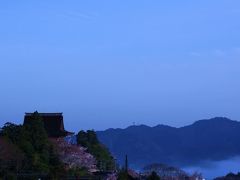 桜のある風景3　（早朝の吉野　下千本）