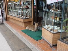 青春18きっぷで目指せ熊本！一日目（大阪→徳山）