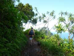 南の島の大自然にほんの少し触れた旅