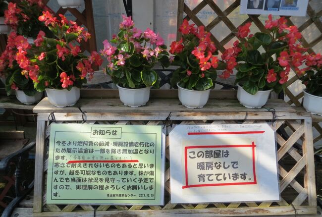2014春、ほぼ満開の名古屋市農業センターの枝垂れ梅(4/5)：温室から寒室に経費節減