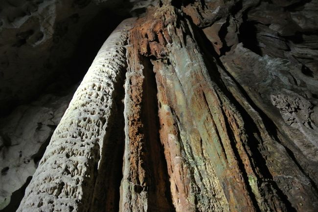 秋芳洞<br /><br />　太古からの巨大な生物が吐く息のような、生暖かく、むっとする湿度を含んだ内気に触れて、わたしたちの体の細胞が覚醒されるのを感じます。<br /><br />　このような世界が、地底に広がっているとは！<br />　19世紀の仏蘭西の小説家ジュールベルヌの作品に、「地底旅行」というのがありますが、まさにそんな気分に浸れる洞窟です。<br />　