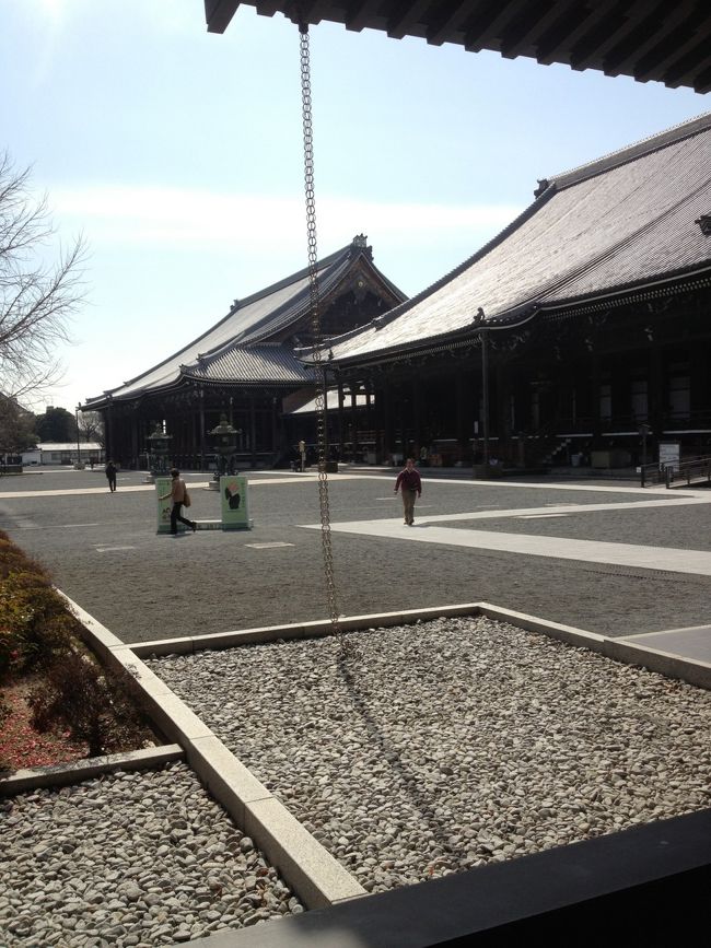 今日は、フィルムカメラを携え京都の梅小路に機関庫を見に行こうかと京都駅迄行ったのですが、東本願寺と西本願寺に足が向いたので。<br />東本願寺はまだ改修工事。<br />そこで梅の木を見たくて西本願寺に。満開は過ぎたのですが残り少ない梅が門の外まで香ってました。<br />残念な事にフィルムカメラはシャッター幕の故障でそこで、帰宅の途に成りました。
