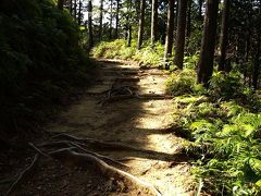 熊野古道をちょっと歩いて　一願成就の熊野本宮大社へ　