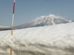 県道36号線　春の予感