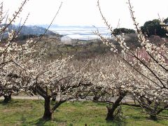 たつの市の綾部山梅林へ！