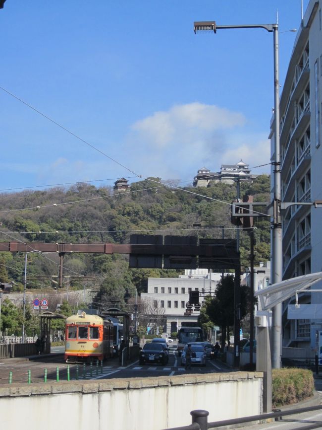 またまたピーチ格安チケットのメールが入りついぽちっと予約、何十年かぶりに松山に行ってきました。<br /><br />子供のころに夏休みのドライブ旅行で行ったきりですからずいぶんと変わってるかもと思いましたがほぼイメージ通りののんびりとした街、昔は大阪市内でも路面電車が走り珍しくはなかったのですが今改めてみるとやはり懐かしいです。<br /><br />ピーチで往復買えば格安で日帰りも可能です、四国も近くなりました。