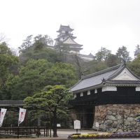 春の嵐で大雨の高知　４トラポイントで格安宿泊の旅