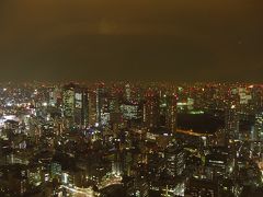 東京タワーから見る夜景（やっぱり東京は光の量が違う！）◆2013年末・東京＆千葉の旅≪その４≫