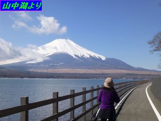 いつも、新幹線の車窓からしか見たことのない「富士山」を、是非、間近にずっと、見ていたくて、、、<br />山中湖を一周ウォーキング