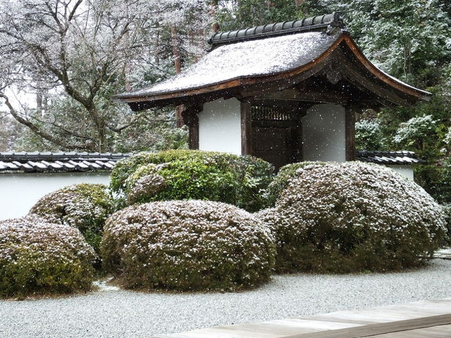 それでは3月10日の撮影分に参ります。<br />まずは正傳寺に入ります。<br />ここの庭園は比叡山を借景した庭園なので<br />最初は雪景色の比叡山が写せればと思ったのですが<br />正傳寺に向かう途中からすごい雪景色になってしまい<br />図らずも庭園の雪景色を撮影出来ました。