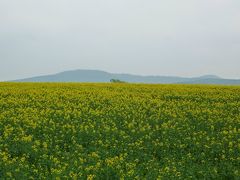 私の四季　in 北海道　５月～７月編