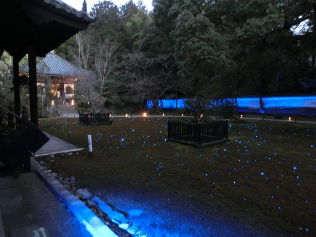 東山花灯路は夕方6時からです。http://www.hanatouro.jp/higashiyama/index.html<br />清水寺から青蓮院まで7か所の神社や寺院の特別拝観や円山公園や道をライトアップしたり様々なイベントや飾りつけをして灯りのある夜の京都を楽しむというイベントが花灯路です。<br />先に行っていた友人と青蓮院で合流、夜間特別拝観の庭園や本堂を回りました。その後国宝の知恩院三門をスクリーンに見立て、プロジェクションマッピングしているプロジェクトを行列して見学、ここで友人と別れ一人で知恩院の庭園と三門内部を見学。歩いて円山公園を通って帰ってきました。夜のライトアップは日が落ちるのが遅くなってきているので6時ではまだ明るく、会場すべてを一晩で見て回るのは難しいです。できたら2泊ぐらいしてゆっくりと観て回りたかったなぁ、と思ってます。