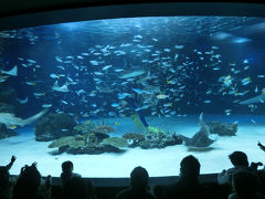 サンシャイン水族館へ(2014年2月)