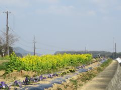 町家を花で彩るひなめぐり