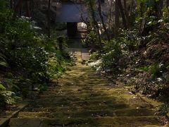 夕方から鎌倉散歩