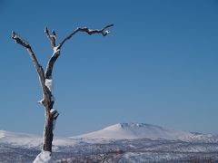 旅 蓬莱山(中山峠)登山