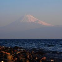 姉家族とオフクロと一泊旅行 / 西伊豆で富士山を愛でる