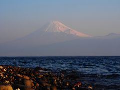 姉家族とオフクロと一泊旅行 / 西伊豆で富士山を愛でる