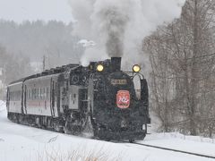 はじめてのタンチョウ撮影＆ＳＬ冬の湿原号