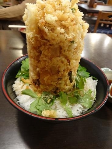 前日に下田から伊豆を北上し、三島、沼津と移動しました。<br /><br />次の日は一杯食べるぞということで<br />朝は沼津の漁港へ<br />お昼は由比に行き桜えびを食べます