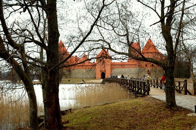 　　　　　・・リトアニアの首都、ヴィルニュス市内観光・・<br /><br />　　バルト三国の旅はリトアニアからスタート。バルト海に面したリトアニア・ラトビア・エストニアの三国をバルト三国と呼ぶが、かつては旧ソ連やナチスドイツから侵略されていた経緯がある。<br /><br />　あるときはソ連の独裁者スターリン、またある時期はナチスドイツのヒットラーの支配下に置かれていた国々であるが、それぞれ三国の首都は今でも中世の伝統的な街並みが残っている。<br /><br /><br />　前夜、ヴィルニュスのパノラマホテルにチェックイン。このホテルはヴィルニュス駅のすぐ前にあり、旧市街やスーパーにも近い立地条件のよいところにある。（口コミで詳述する）　<br /><br />　ホテルにチェックインした後、ヴィルニュス駅舎を見学したり近くのスーパーへ買い物に行き、夕食がないので相棒とマックで済ませる。<br /><br />　翌日は、ヴィルニュスの市内を観光。北欧の冬空は終日どんよりした曇り空で気分が滅入ってしまう。しかしこれも現地を訪ねてみてわかることである。<br /><br />　このような天気が影響しているのかどうかわからないが、リトアニアの自殺率は世界ワースト１である。（人口１０万人当たりの自殺者数）<br /><br />　観光した場所は、次のとおり・・・（車窓見学も含む）<br /><br />　国会議事堂・シナゴーグ・杉原千畝記念碑・ＫＧＢ博物館・聖パウロ教会・大聖堂・大統領府・ヴィルニュス大学・旧市庁舎・琥珀博物館・聖アンナ教会・夜明けの門など・・<br /><br /><br />　昼食後、郊外のトラカイ城へ向かう。<br /><br /><br />　　　　　　・・・トラカイ城・・・<br /><br />　トラカイ城は首都ヴィルニュスからおよそ３０ｋｍほど離れた郊外のトラカイにある城で、ガルヴェ湖という小さな湖に浮かぶ赤レンガ造りの古城である。<br /><br />　このガルヴェ湖には小さないくつもの島があり、その中の一つの島にトラカイ城がある。<br /><br />　１４世紀後半に建てられ、それ以後何度も改修されているというこの古城はリトアニアの観光には欠かせない。<br /><br />　湖に浮かぶトラカイ城は、夏とはまた違った景観を見せてくれた。<br /><br />　夏は美しい湖面に浮かぶ城も、冬は全面凍結した湖の中で幻想的な雰囲気を醸し出してくれたがこれは冬ならではの風景である。<br /><br />　寒さが厳しい冬季でないと見られない・・・<br /><br />　私たちが訪れたとき湖面は凍結し、船に乗らなくても湖上を歩いて城まで行けるのだが、氷上で転倒して怪我でもしたら怖いので、全員添乗員さんに引率され二つの橋を渡って島まで行った。<br /><br />　凍結した湖に浮かぶトラカイ城は最高であった！！　<br /><br /><br /><br />　　　[写真は凍結した湖上にたたずむトラカイ城]
