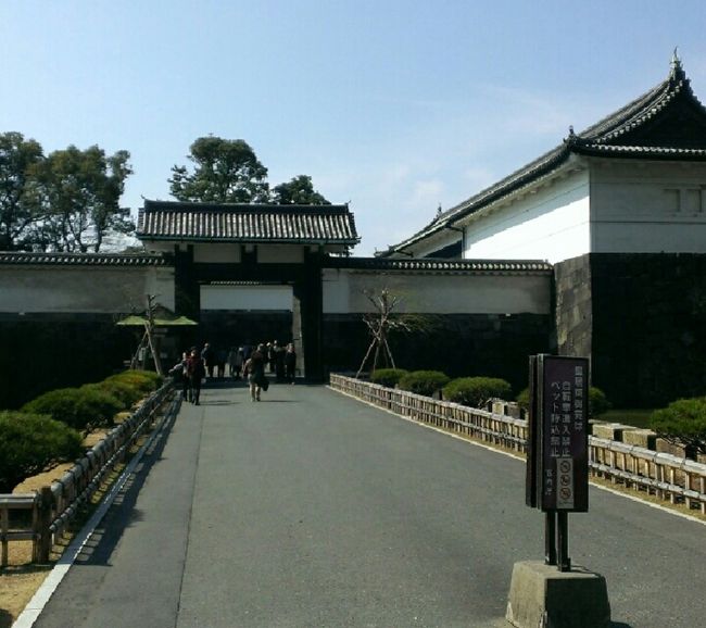 韓国でいつもお世話になっているガイドくんが日本へ遊びに来たので皇居へは行ったことあるけど（添乗員として）でも、中には入ったことが無いというので春一番吹く中、皇居東御苑へ。<br />こちらは無料開放されており、都会のど真ん中に居ながらに四季を感じれる貴重な場所。<br />日本人よりも外国人率が圧倒的な場所です。<br />デートやお散歩にお勧め。<br /><br />先ずは、大手高麗門よりスタート！