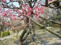 川口市＜市街編＞・蕨市 2001/ゼンリン（単行本）