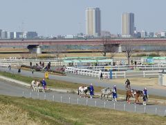 東京の地下鉄路線を歩こう！　第１３弾　完結編！：都営新宿線