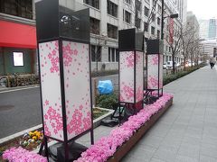 桜で賑う新しい日本橋の日本橋三越を訪問