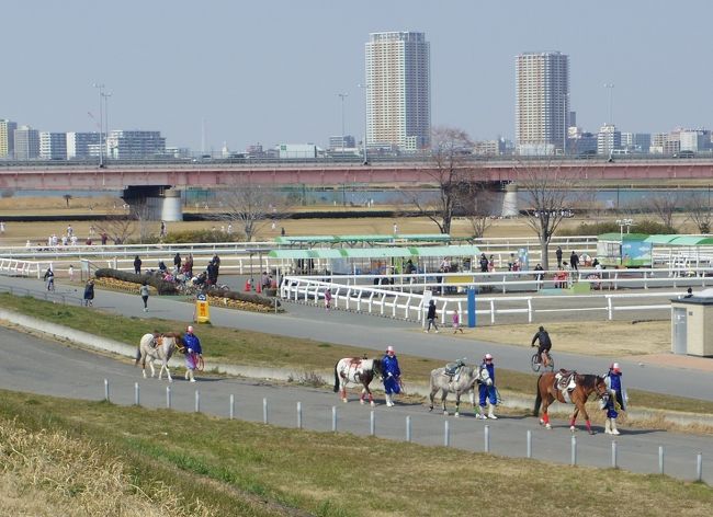 東京の地下鉄路線を歩こう 第13弾 完結編 都営新宿線 新小岩 小岩 東京 の旅行記 ブログ By 夏への扉さん フォートラベル 東京の地下鉄路線を歩こう 第13弾 完結編 都営新宿線 新小岩 小岩 東京 の旅行記 ブログ By 夏への扉さん フォートラベル