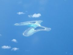 マンリービーチへの船旅と別れのバタフライアイランド！