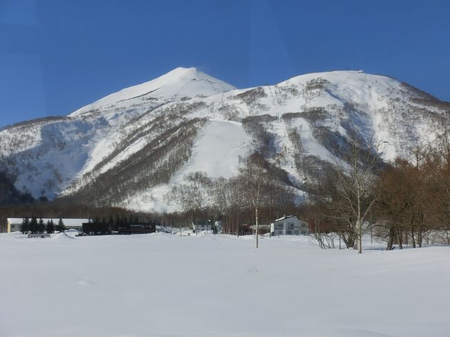 若い頃一度訪れて雪の軽さに感動したニセコヒラフ<br />25年ぶりに訪れたニセコは海外からのお客さんが増え、また新しいスキー場もできて更に魅力のあるリゾートになっていた<br />雪はこの時期なので期待していなかったのですが時期ハズレの寒波襲来で新雪もたっぷり<br />毎年訪れるスキーヤーが多いニセコ、やっぱり魅力たっぷりのスキーリゾートだと納得しました