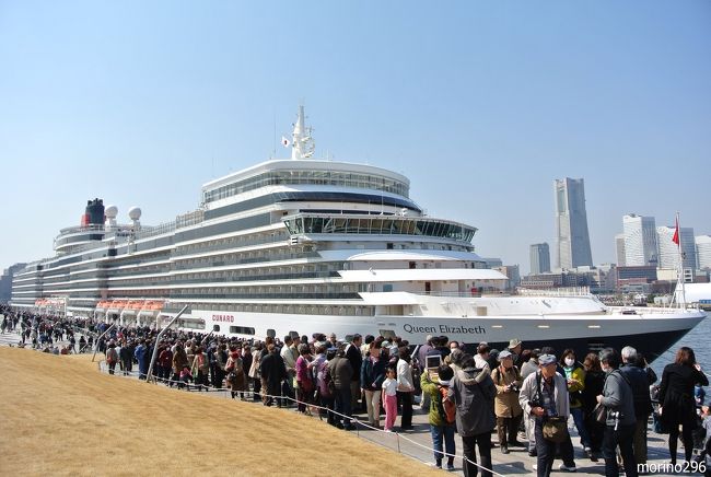 英国船籍の豪華客船クイーン・エリザベス（ＱＥ）が横浜港に初入港したので見物に出掛けました。<br />横浜港大さん橋国際客船ターミナルは、驚くほどの見物客で溢れていました。<br />豪華客船「クイーン・エリザベス」号の名前を継ぐ３代目で、２０１０年１０月に就航、総トン数９０，６００トン、全長２９４ｍ、全幅３２．３ｍ、まるで巨大なマンションのような感じでした。<br />（ちなみに、飛鳥?は、総トン数５０，１４２トン、全長２４０．９ｍ、全幅２９．６ｍ）<br /><br />横浜港の入口にあるベイブリッジは、満潮時には海面からの高さが５５ｍとなるため、高さ５６．５ｍのＱＥは潜れません。<br />そのため、海面が２ｍ下がる干潮に合わせて、１６日の深夜に入港しました。<br />今回の寄港は、全行程１２０日間のワールド・クルーズ２０１４の途中で、鹿児島から横浜へやって来たもの。<br />大勢の見物客を楽しませてくれたＱＥは、干潮となる１７日深夜に、神戸へ向けて出港していきました。<br /><br />なお、ベイブリッジは、当時世界最大級だった先代のＱＥ２（７０，３２７トン）が通過できる高さに設計されたようですが、３代目はこれより高いため、ベイブリッジを通過出来るかどうか検討したそうです。