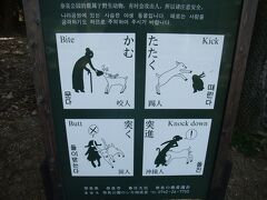 2012.4 奈良①～世界遺産・古都奈良の文化財