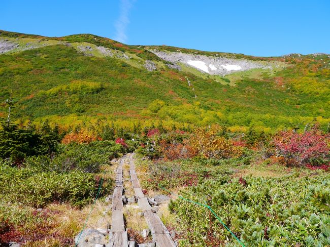 快晴のもと、紅葉に染まる栂池自然園から出発し、白馬乗鞍岳・大池を目指します。<br />お天気に恵まれた今回の旅行。もうこんなお天気に恵まれる山登りはないかも？と思えるくらい。<br />たっぷり満喫してきました。