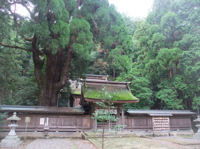 長浜から3日目は遠征し、越前、若狭の一宮へ参拝し小浜を廻りました。