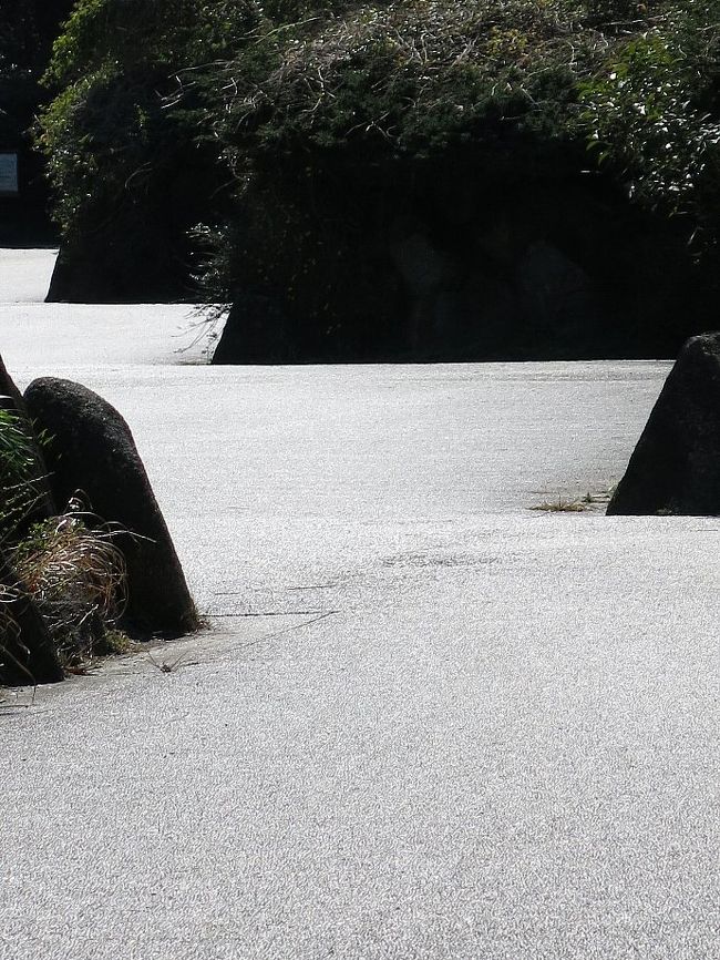 （写真は葛西臨海公園にて、平らな道のハズなのに）<br /><br />３月、東京をいくつか歩いてみます。　もう春の息吹でいっぱいです。　ただ世の中、問題もいっぱいですね。<br /><br />海外で頑張ろうとする方は英語とその国の言葉はかかせません。　特にアスリートにそれを感じます。　中田ヒデと本田、香川の違いはそこにあるのでしょう。　ジャンプの高梨選手には感心します。　ガリ勉に感心しないように、ガリスポ（ーツ）にも関心できません。　活躍してからでは遅いのです。　世界で活躍するというなら小学/中学から語学にも頑張ってもらいたいものです。　そしてそれは外交政治家でも当然のことだし、海外を旅する者にも言えることです。<br /><br />　・春なのにクリミアの海凍りつく　　　＜ウっ暗いな＞<br /><br />　・またひとつ悩みが消えてはまた悩む　　＜春なのに＞<br /><br />　・春なのに行くところなし青い空　　　＜浮雲＞