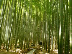 春を感じる鎌倉・湘南。 ー 竹の寺"報国寺"を訪ねて ー