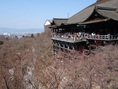 母と二人の京都旅行