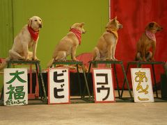 20140322 動物園と遊園地がセット 宇都宮動物園