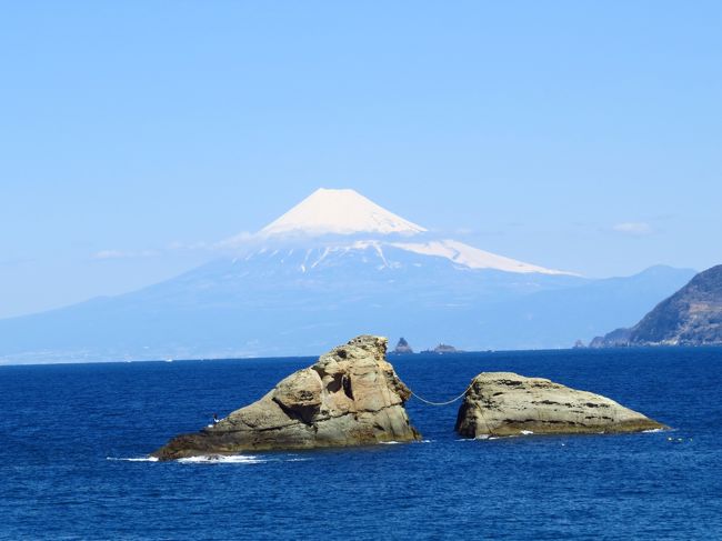 ３月２１日から２３日まで２泊３日で、西伊豆と三島の旅行をしました。<br /><br />初日は、三島からレンタカーを借りて、西伊豆を堂ヶ島までドライブ。<br /><br />富士見スポットに立ち寄り、富士山の絶景を堪能し。。。<br /><br />三四郎島では、潮の満ち引きに時の立つのを忘れ。。。<br /><br />大田子海岸では夕陽に感動し。。。<br /><br />堂ヶ島・ニュー銀水に宿泊しました。<br /><br />２日目の本日は、<br /><br />堂ヶ島公園を観光し。。。<br /><br />彫刻ライン、雲見海岸、奥石廊崎、石廊崎と絶景を楽しみつつ南下し。。。<br /><br />日野の菜の花畑で癒され。。。<br /><br />ドーミーイン三島に宿泊しました。<br /><br />２日目の旅行記です。<br /><br />