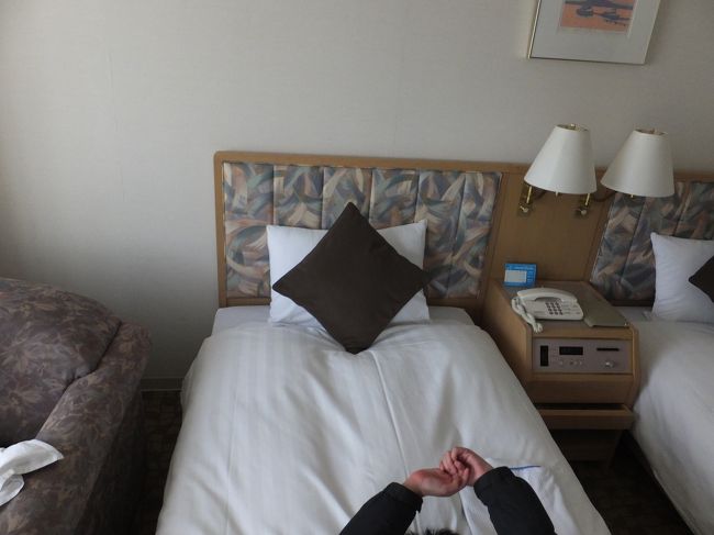 ３月２０日〜２２日まで滞在した札幌全日空ホテルです。ロビーから部屋の内装まで撮しました。４０周年というだけに、内装は少し古い。朝食付で安かったのです。空調は完璧でした。それとホテルのベッドは狭い割に寝心地が良かった。