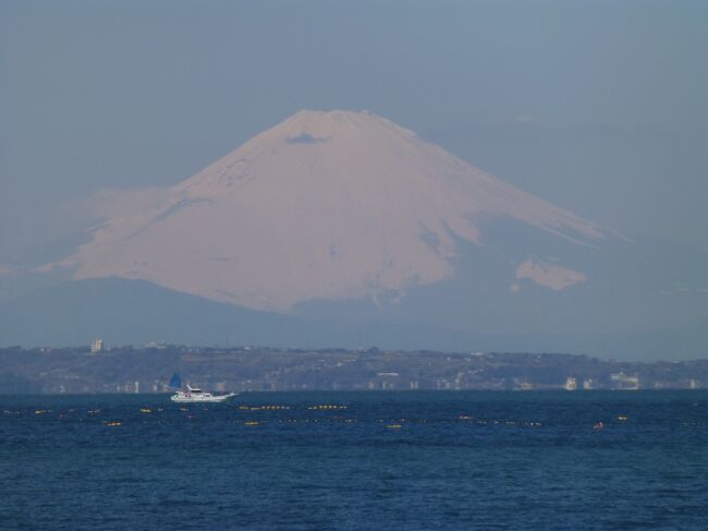 数か月に数回、勝浦へ行きます。<br /><br />ただ2月の毎週に及ぶ雪のため、ずっと行く事が出来ませんでした。<br /><br />お天気も良く久しぶりなので、今回はちょっと遠回りで行ってきました。