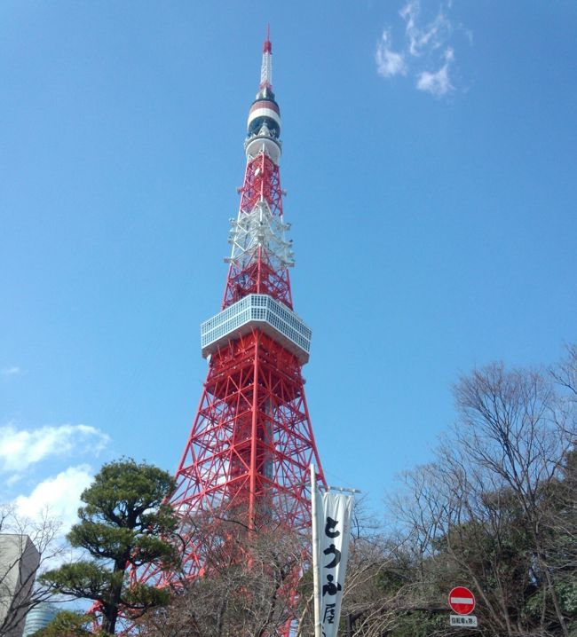 ☆タワー２本目☆<br /><br />東京タワーに行くのは何年ぶりでしょうか。久しぶりに行った東京タワーは、リニューアルされて綺麗になっていました。以前の昭和の雰囲気も好きだったんですけどね。蝋人形館も2013年9月に閉館したそうで残念です。<br /><br />大展望台から特別展望台行きエレベータは20分待ちと、スカイツリー人気に押されて東京タワーは空いているかと思いきや、なかなかの繁盛ぶりでした。<br /><br /><br />