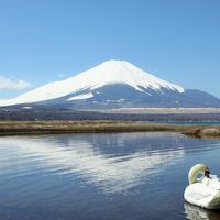 富士山に抱かれて