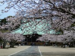 鎌倉*サクラ散歩* 2014 ～妙本寺・安国論寺・光明寺～ 