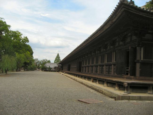 　京都国立博物館「シルクロード文字を辿って」、妙法院、智積院、三十三間堂そして京都美術館「ルーブル」展等を散策してきました。